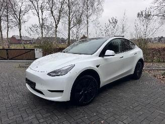 Tesla Model Y Tesla Model Y Long Range RWD PANORAMA Autopilot VOL picture 10