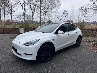 Tesla Model Y Tesla Model Y Long Range RWD PANORAMA Autopilot VOL 2024/11