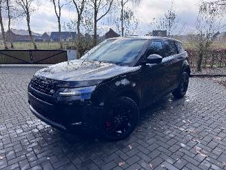 Land Rover Range Rover Evoque Land Rover Range Rover Evoque S Leder Camera AHK 2024 VOL picture 12