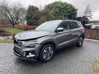 Skoda Karoq Karoq 1.5 TSI DSG Camera Trekhaak Ambiance VOL! picture 27