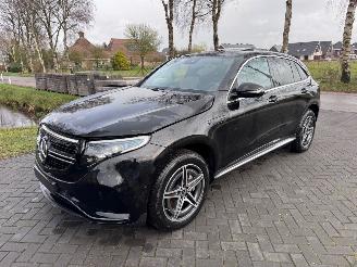 Mercedes EQC EQC 400 4Matic Panorama Ambiance Trekhaak Camera VOL! picture 19