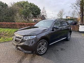 Mercedes EQC EQC 400 4Matic Panorama Ambiance Trekhaak Camera VOL! picture 32