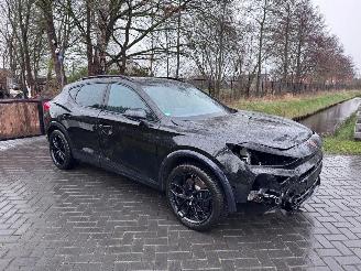 Cupra Formentor Cupra Formentor VZ 1.5 TSI e-Hybrid 200 kW Trekhaak 360camera picture 26