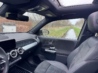 Mercedes EQB EQB 250+ AMG Panorama Burmester HUD Trekhaak 360view VOL picture 17