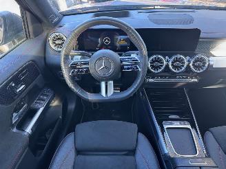 Mercedes EQB EQB 250+ AMG Panorama Burmester HUD Trekhaak 360view VOL picture 7