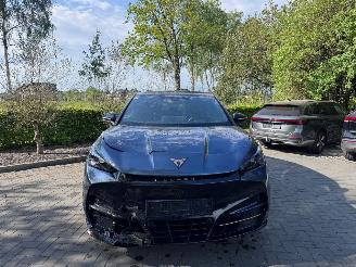 Cupra Tavascan  picture 11