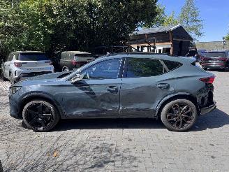Cupra Formentor Formentor VZ 2.0 TSI 333pk 4Drive PANORAMA 360view Akrapovic VOL! picture 25
