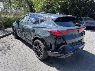 Cupra Formentor Formentor VZ 2.0 TSI 333pk 4Drive PANORAMA 360view Akrapovic VOL! picture 17