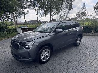 krockskadad bil auto Skoda Kodiaq Skoda Kodiaq 1.5 TSI mHEV 150ps Selection Ambiance Trekhaak Leer VOL 2025/1