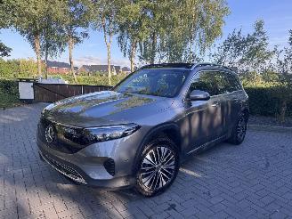 Mercedes EQB EQB 250+ PANORAMA Ambiance AMG Trekhaak Camera VOL picture 22