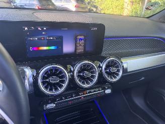 Mercedes EQB EQB 250+ PANORAMA Ambiance AMG Trekhaak Camera VOL picture 7