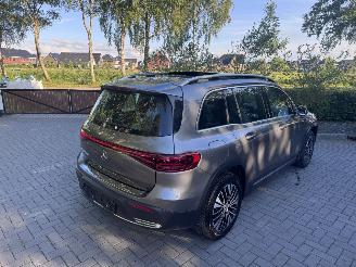 Mercedes EQB EQB 250+ PANORAMA Ambiance AMG Trekhaak Camera VOL picture 11