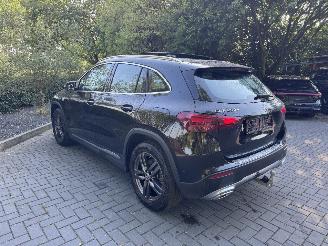 Mercedes GLA Mercedes-Benz GLA 250e AMG Panorama 360view AHK Leder VOL picture 9