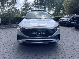 Mercedes EQA EQA 250+ AMG Panorama Camera Trekhaak Ambiance VOL picture 9