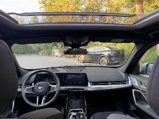 BMW iX1 iX1 30 xDrive M Sport PANO HUD Frozen-Grey VOLL picture 5