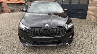 Skoda Fabia SKODA Fabia Monte Carlo DSG Camera AppleCarplay VOL picture 22