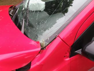 Suzuki Celerio  picture 5