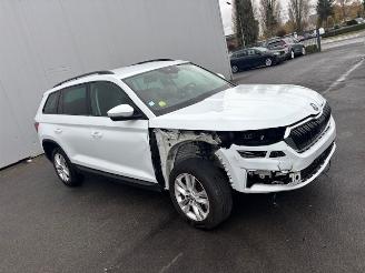 Skoda Karoq  picture 5