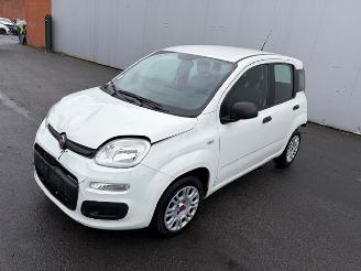 Fiat Panda  picture 2