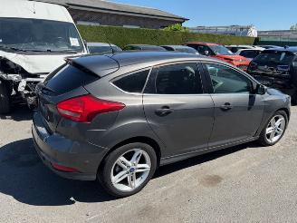 Ford Focus  picture 2