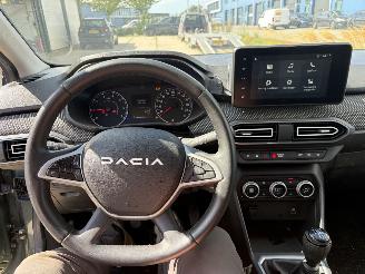 Dacia Jogger 1.0 TCe 100 ECO-G Extreme 7p. Lpg picture 19