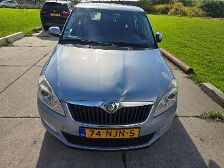 Avarii autoturisme Skoda Fabia  2010/9