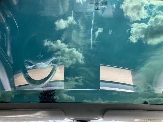 Tesla Model 3 PLUS EXE 60 KWH 328 PK PANORAMA  LEER picture 11