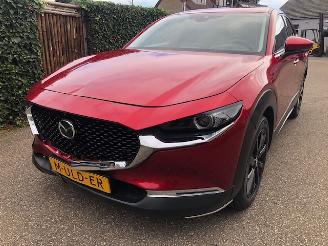 Mazda CX-30 2.0 e-SkyActiv-X M Hybrid Luxury VOLL picture 5