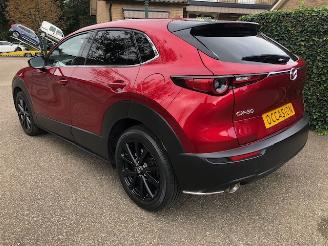 Mazda CX-30 2.0 e-SkyActiv-X M Hybrid Luxury VOLL picture 4