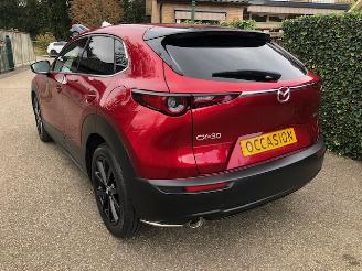 Mazda CX-30 2.0 e-SkyActiv-X M Hybrid Luxury VOLL picture 9