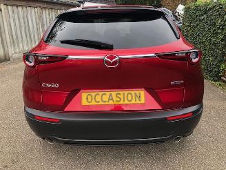 Mazda CX-30 2.0 e-SkyActiv-X M Hybrid Luxury VOLL picture 8