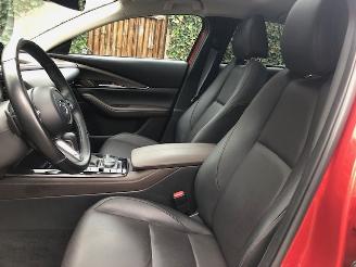 Mazda CX-30 2.0 e-SkyActiv-X M Hybrid Luxury VOLL picture 14