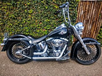 Schade motor Harley-Davidson  FLSTNI Softail Deluxe Special 2005/6
