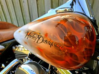Harley-Davidson Road King FLHRI SPECIAL PAINT NL picture 8