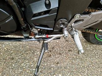 Kawasaki  Ninja 300 Anniversary Edition picture 18