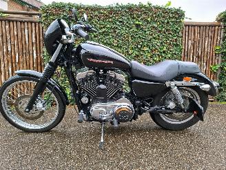 Harley-Davidson XL 1200 SPORTSTER CUSTOM 5HD picture 10