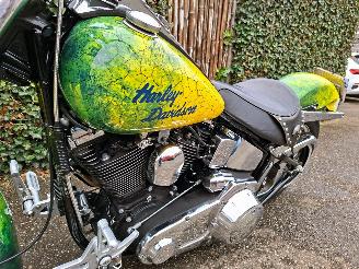 Harley-Davidson Heritage softtail FLSTC Heritage Classic picture 14