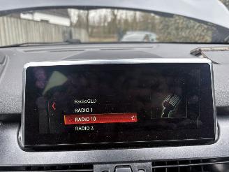 BMW 2-serie 225xe iPerformance High Executive AUTOMAAT 174PK LEER picture 20