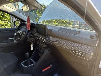 Dacia Jogger 1.0 TCe 100 ECO-G Expression 7 persoons picture 11