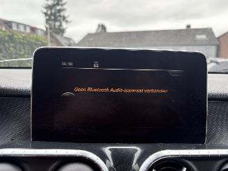 Mercedes X X250 D- 4- MATIC PROGESSIVE 200 PK 4X4 AUTOMAAT NAP picture 21