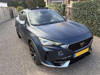 Cupra Formentor 2.0 TSI 310 PK 4x4 AUTOMAAT NAP picture 2