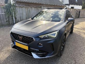 Cupra Formentor 2.0 TSI 310 PK 4x4 AUTOMAAT NAP picture 9