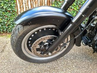 Harley-Davidson  Fat Boy Low Special FLSTFB 103 (5HD) picture 12