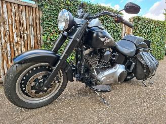 Harley-Davidson  Fat Boy Low Special FLSTFB 103 (5HD) picture 11