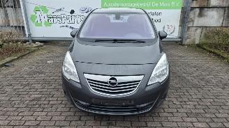 Vaurioauto  passenger cars Opel Meriva 1.4 Turbo 16V LPG ecoFLEX MPV   1.364cc 88kW (120pk) FWD 2011-06/2013-10  A14NEL 2012/1