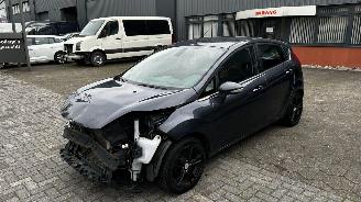 Unfallwagen Ford Fiesta 1.25 Trend 2010/11