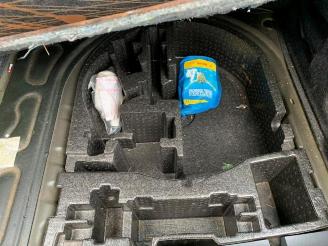 Seat Ibiza Ibiza ST (6J8), Combi, 2010 / 2016 1.2 TDI Ecomotive picture 13