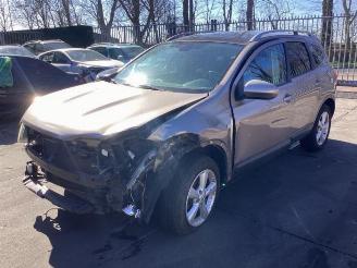 Nissan Qashqai+2 Qashqai (J10), SUV, 2007 / 2014 2.0 16V picture 3