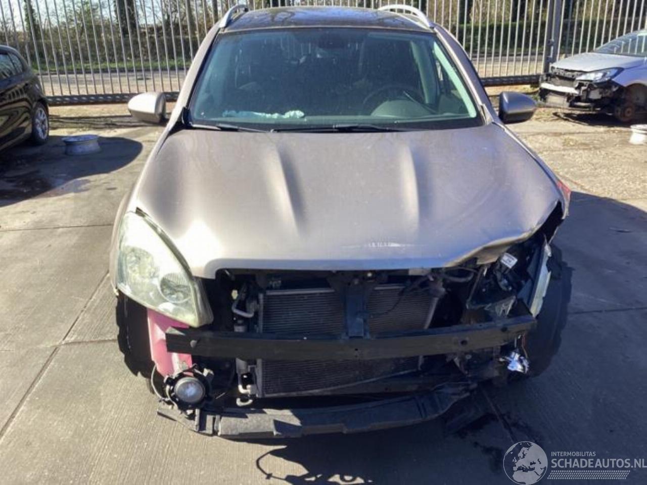 Nissan Qashqai+2 Qashqai (J10), SUV, 2007 / 2014 2.0 16V