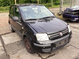 disassembly passenger cars Fiat Panda Panda (169), Hatchback, 2003 / 2013 1.2, Classic 2010/4